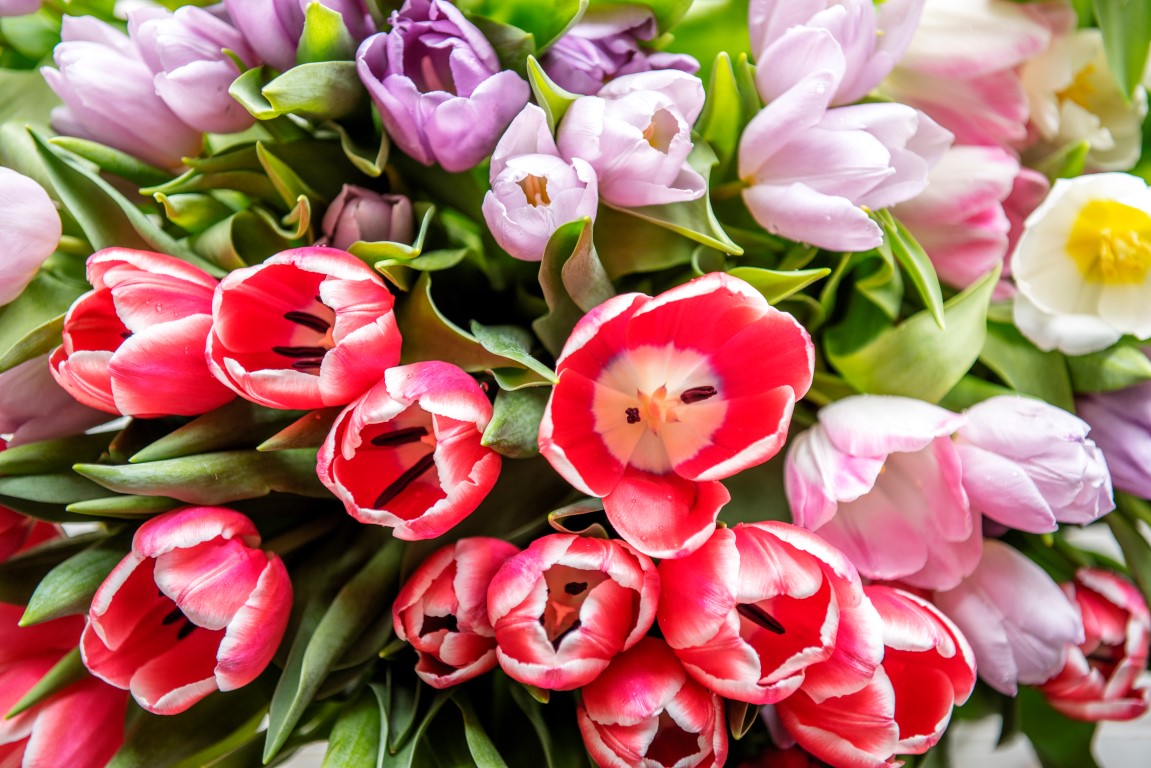 Cremations website image